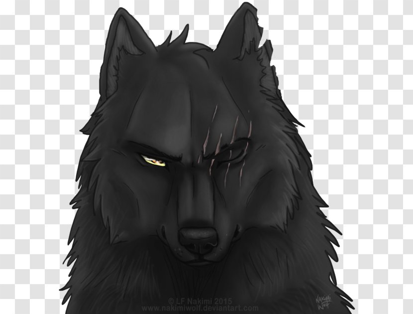 Black Wolf Coyote Pack Drawing - And White Transparent PNG