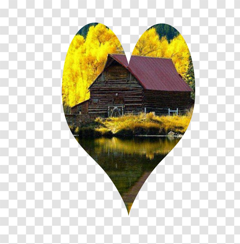 Lake City Samsung Galaxy Grand 2 King Autumn - Yellow - The House Transparent PNG