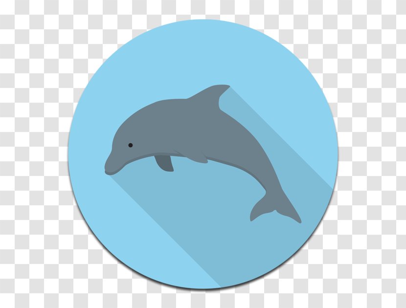 Common Bottlenose Dolphin Tucuxi Wholphin Wild Boar Porpoise - Yangyang Transparent PNG