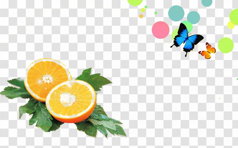 Orange Juice Desktop Wallpaper - Flower - Decorative Pattern Transparent PNG