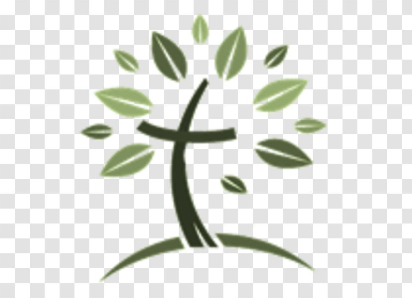 Royse City Independent School District Business Organization Cactaceae Need - Flora - Familie Symbol Transparent PNG