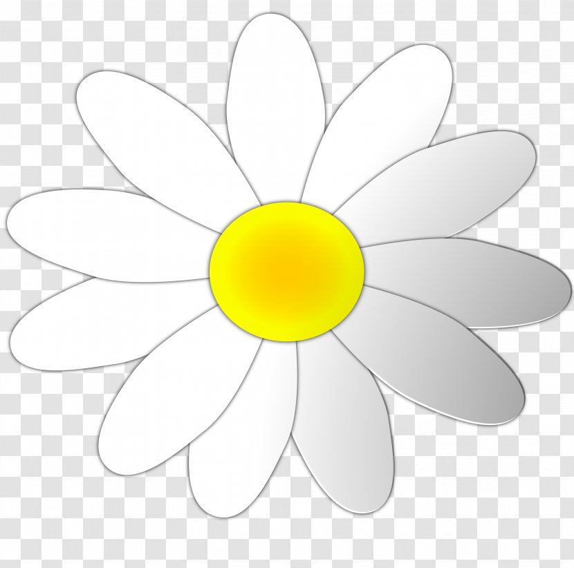 Petal Clip Art - Flower - Daisy Cliparts Transparent PNG