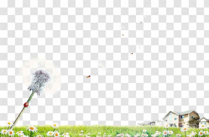 Dandelion Google Images Wallpaper - And Houses Transparent PNG