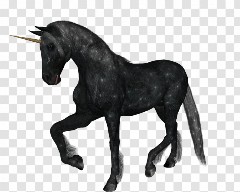 The Black Unicorn Horse Clip Art - Mare - Thin Transparent PNG