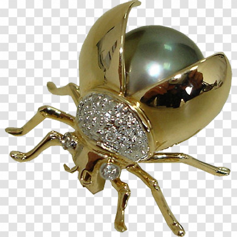 Brooch Insect Body Jewellery .com Transparent PNG