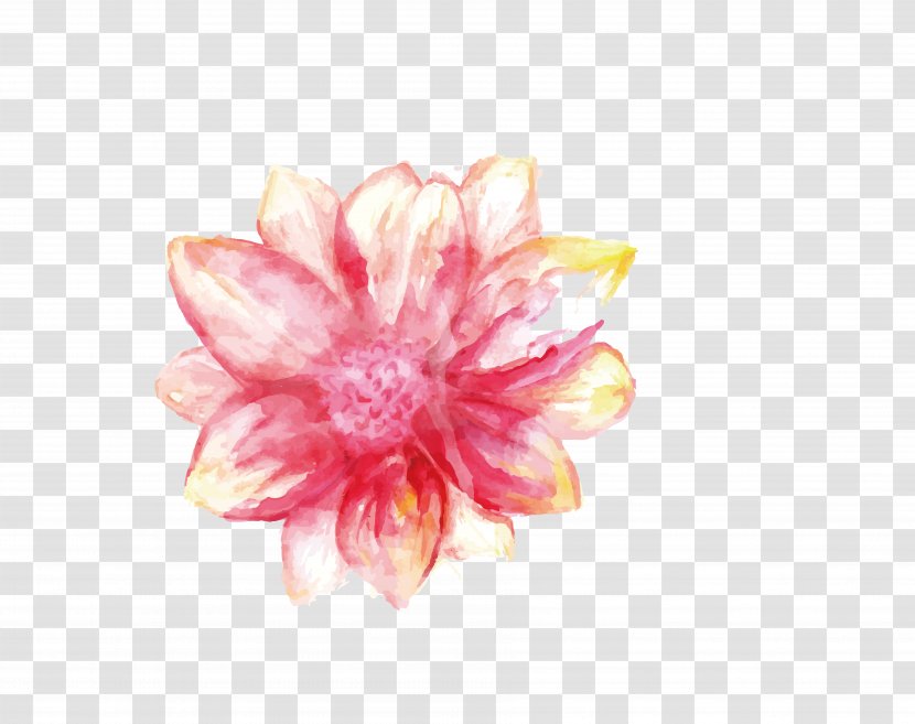 Pink Hand-painted Flowers - Art - Pattern Transparent PNG