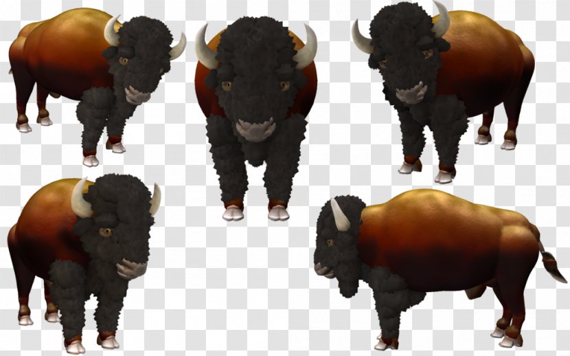 Bull Cattle Bison Horn Terrestrial Animal - American Transparent PNG