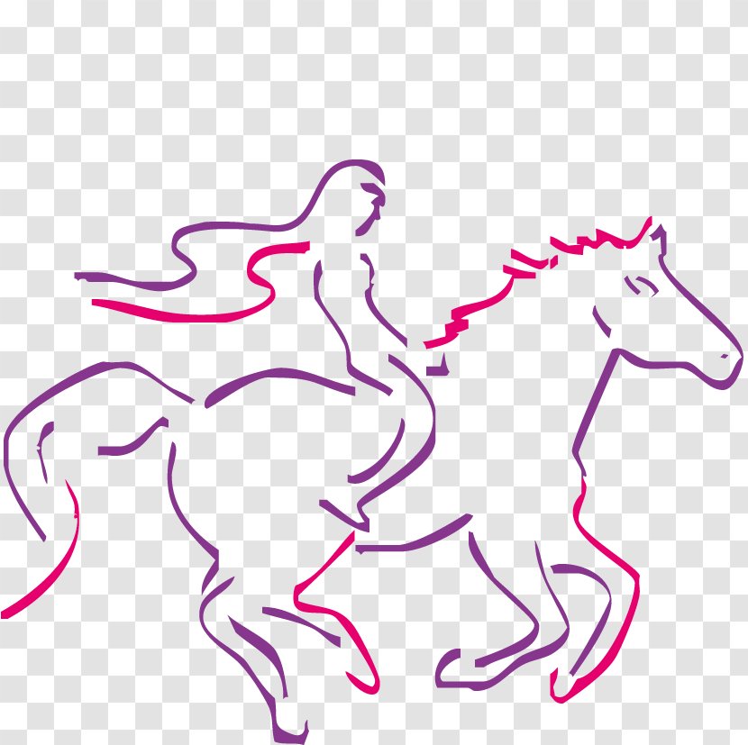 Mustang Pony Alternavita Naturheilpraxis Pack Animal Equestrian - Frame Transparent PNG