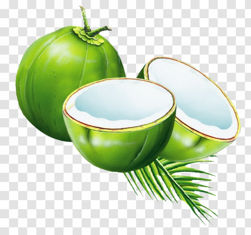 Coconut Water Juice Milk Powder Transparent PNG
