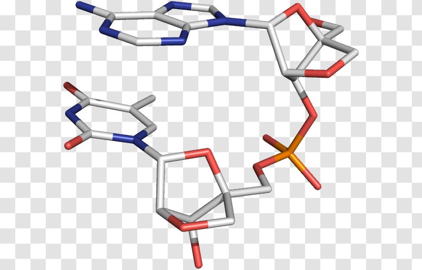 Locked Nucleic Acid Oligonucleotide Three-dimensional Space Analogue - Technology - Molecule Transparent PNG