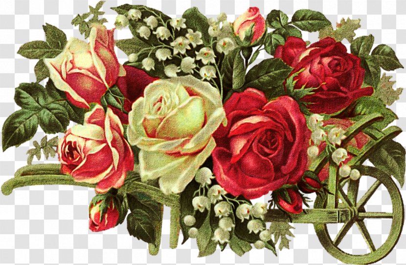 Flower Rose Royalty-free Clip Art - Flowering Plant Transparent PNG