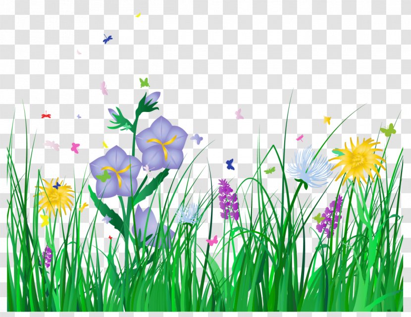 Transparent Grass And Flowers Clipart - Wildflower - Family Transparent PNG