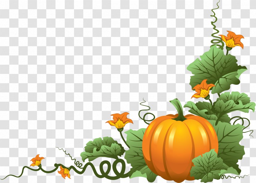 New Hampshire Pumpkin Festival Autumn Clip Art - Flower - Watercolor Transparent PNG
