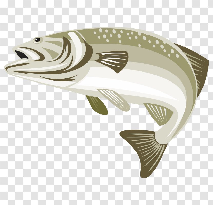 Largemouth Bass Stock Photography Green Sunfish Image - Frame - Fish Transparent PNG