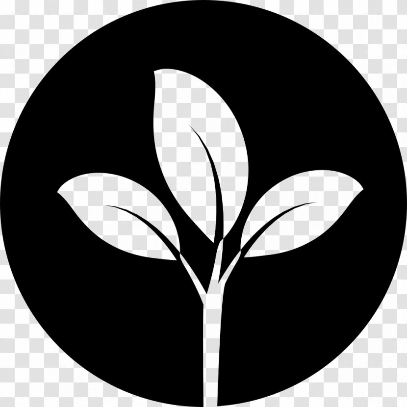Download Nature Leaf Citrus × Deliciosa - Ecologic Transparent PNG