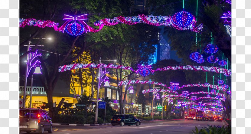Christmas Lights Gift Purple - Night Transparent PNG