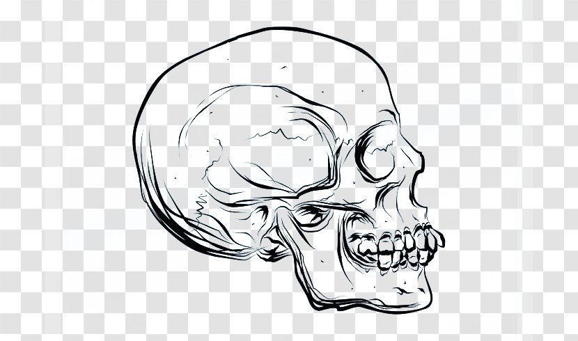 Drawing Skull Cartoon Euclidean Vector - Tree - Side Faces Transparent PNG