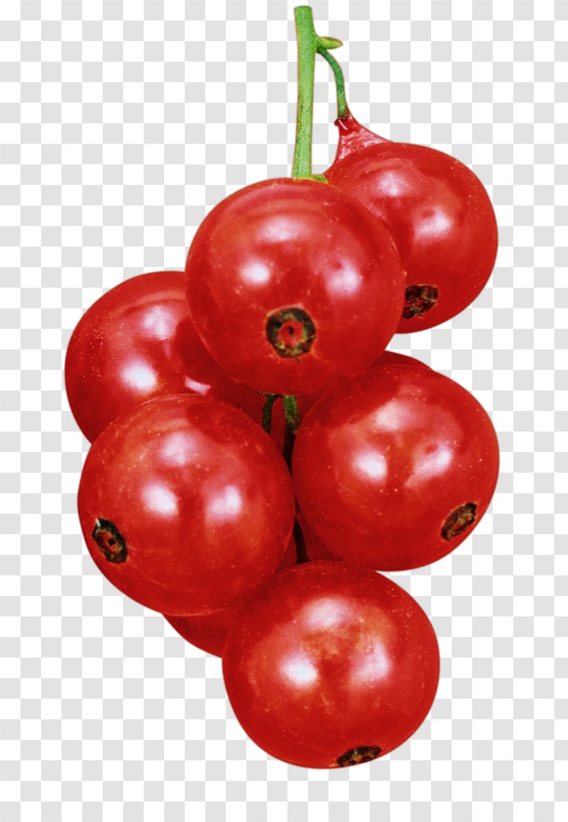 Plum Tomato Lingonberry Varenye Blackcurrant Accessory Fruit Transparent PNG