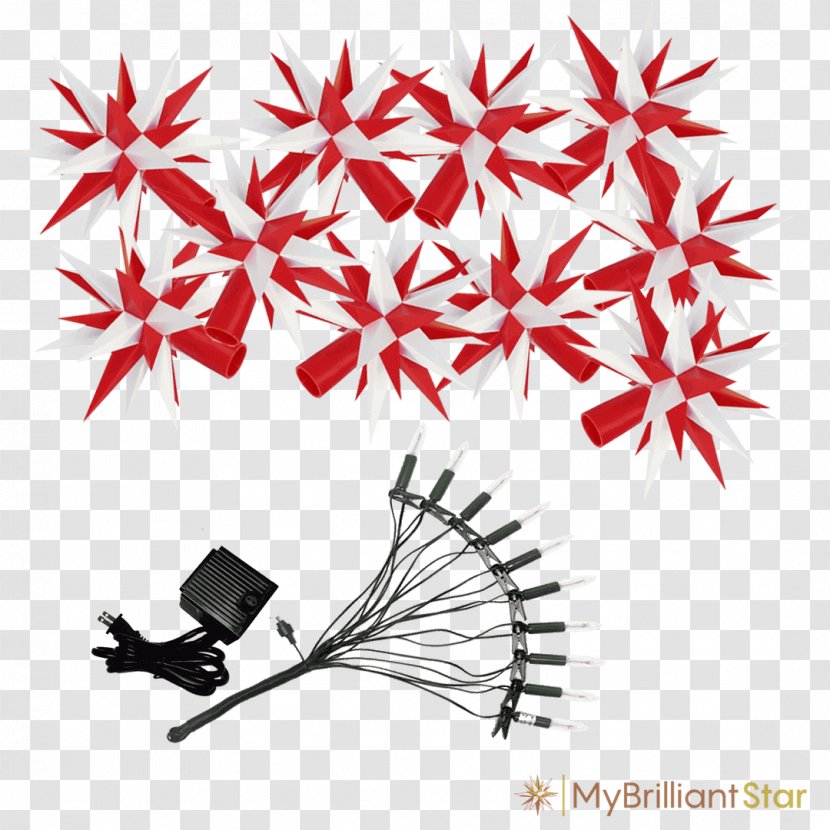 Red Star - Moravian Church - Plant Craft Production Transparent PNG