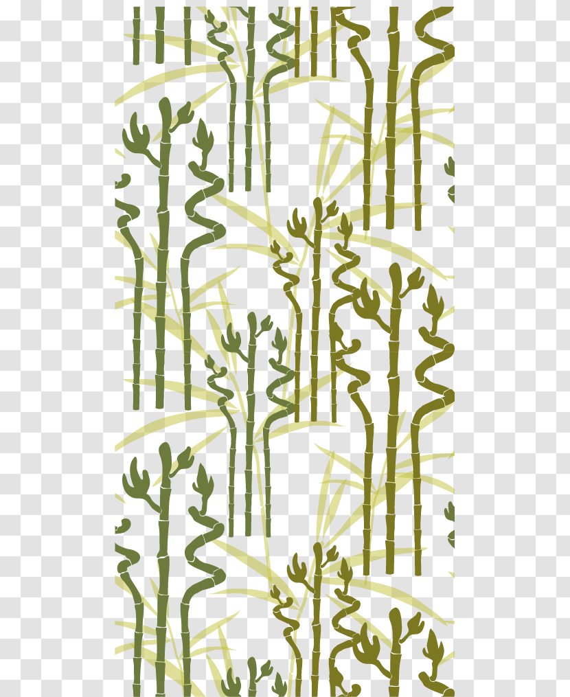 Euclidean Vector Lucky Bamboo - Bamboe - Background Shading Material Transparent PNG