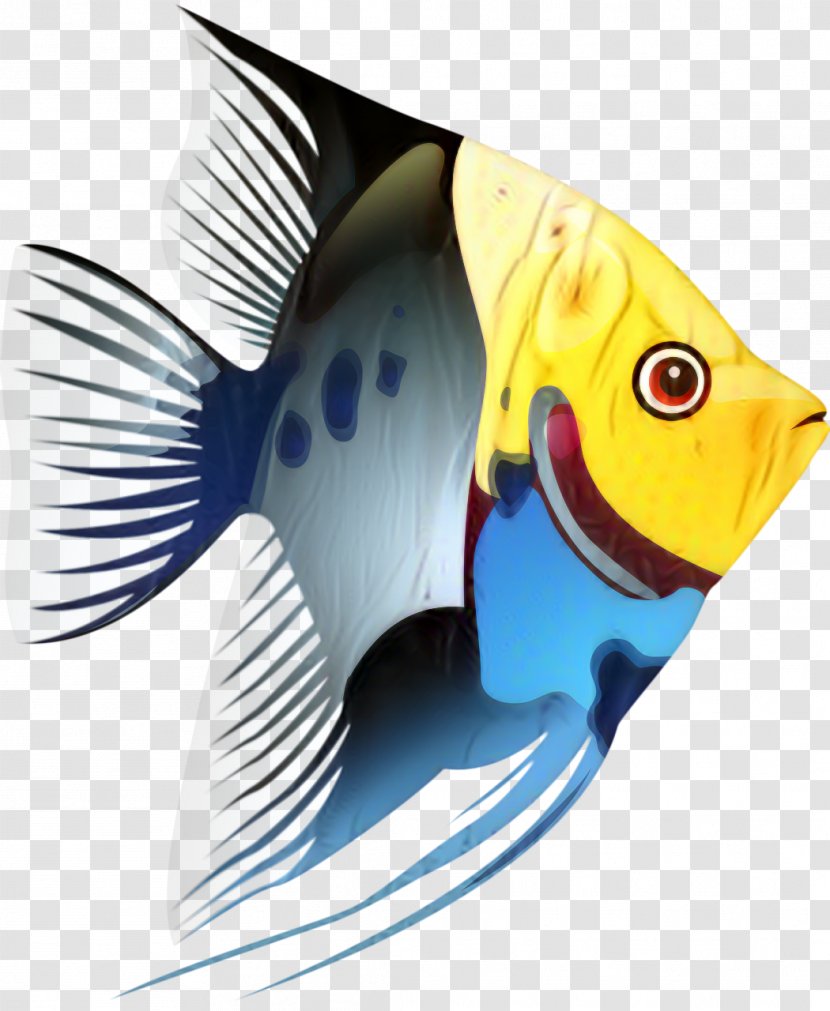 Clip Art Tropical Fish Openclipart - Acanthurus - Pomacanthidae Transparent PNG
