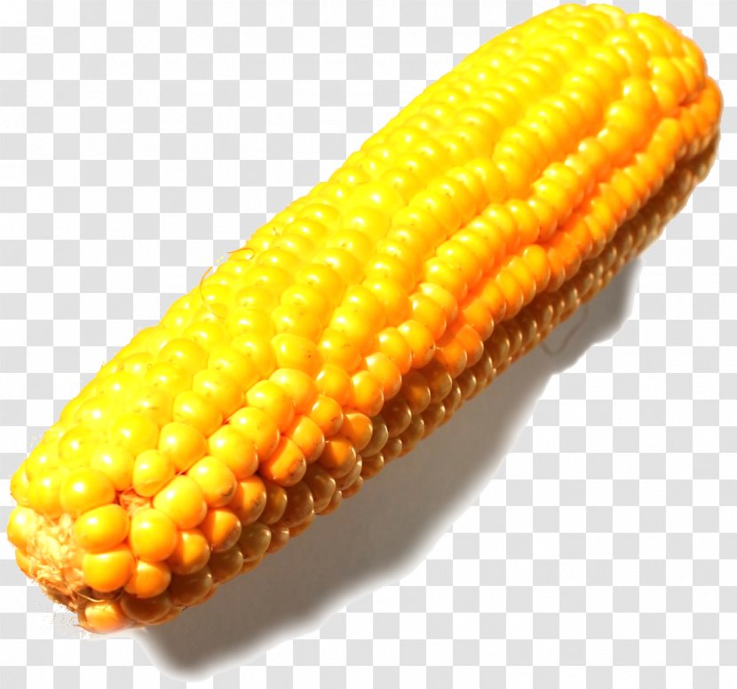 Corn On The Cob Commodity Maize - Vegetarian Food - Epi Transparent PNG