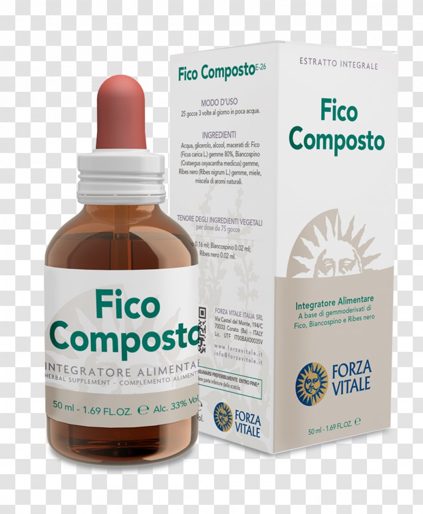 Dietary Supplement Common Fig Chemical Compound Gemmotherapy Forza Vitale Italia SRL - Bud - Ficus Carica Transparent PNG