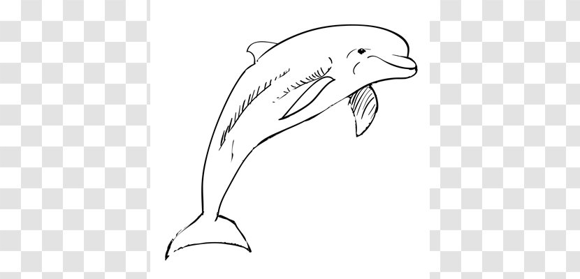 Tucuxi Common Bottlenose Dolphin Drawing Sketch - Marine Mammal Transparent PNG