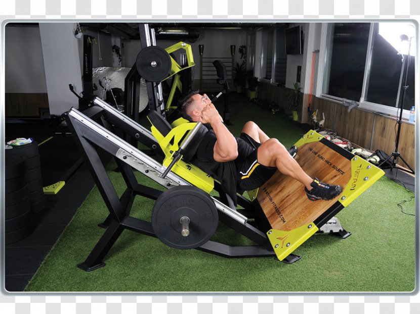 Indoor Rower Fitness Centre Physical Rowing Sports Venue - Gym Squats Transparent PNG