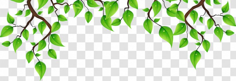 Green Leaf Background - Tree - Plant Stem Flower Transparent PNG