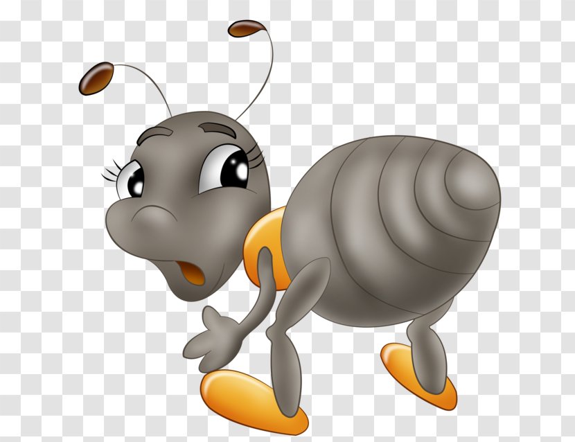 Ant Insect Bee Drawing - Carnivoran Transparent PNG