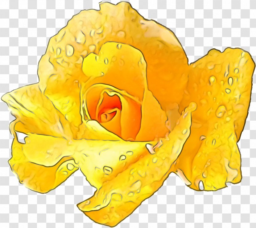 Orange - Flower - Hybrid Tea Rose Transparent PNG