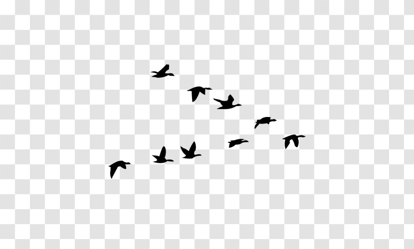 Goose Clip Art Computer Software Twocanoes - Bird - Migration Transparent PNG