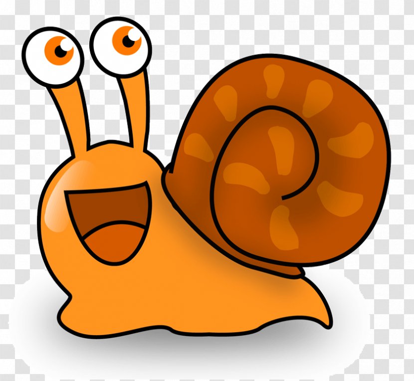 Snail Gastropods Slug Tail Animal Transparent PNG