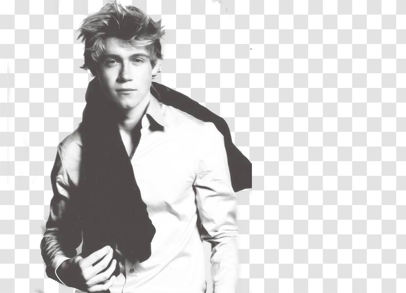 Niall Horan Mullingar One Direction Little Things - Heart Transparent PNG