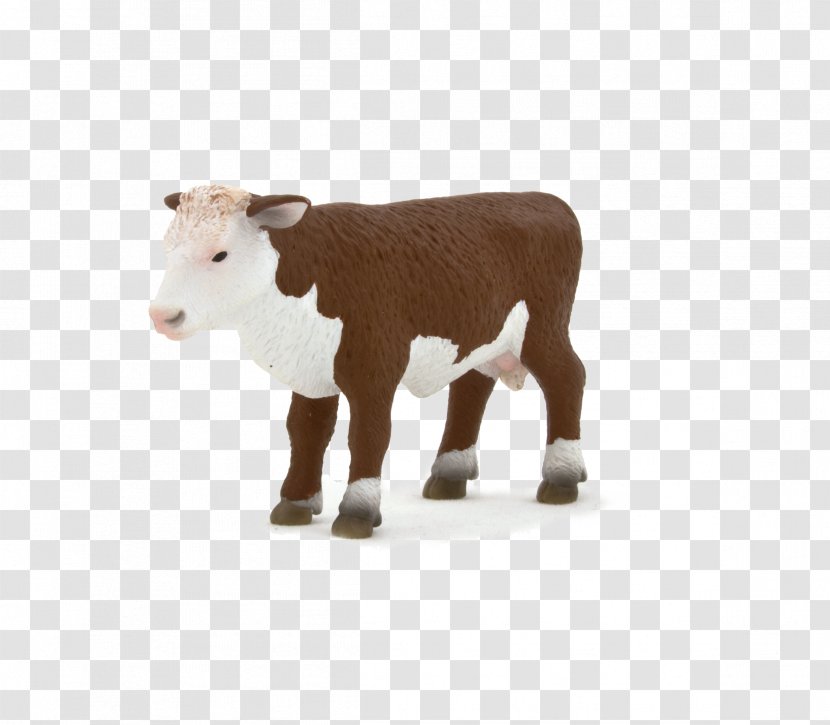 Hereford Cattle Calf Sheep Herefordshire Artikel - Terrestrial Animal Transparent PNG