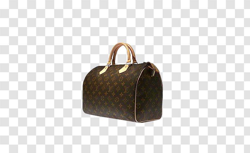 Handbag Chanel Louis Vuitton Fashion - Brand - LV Leather Bags Transparent PNG