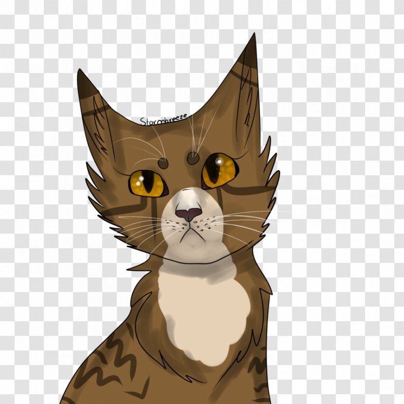 Whiskers Tabby Cat Wildcat Cartoon Transparent PNG