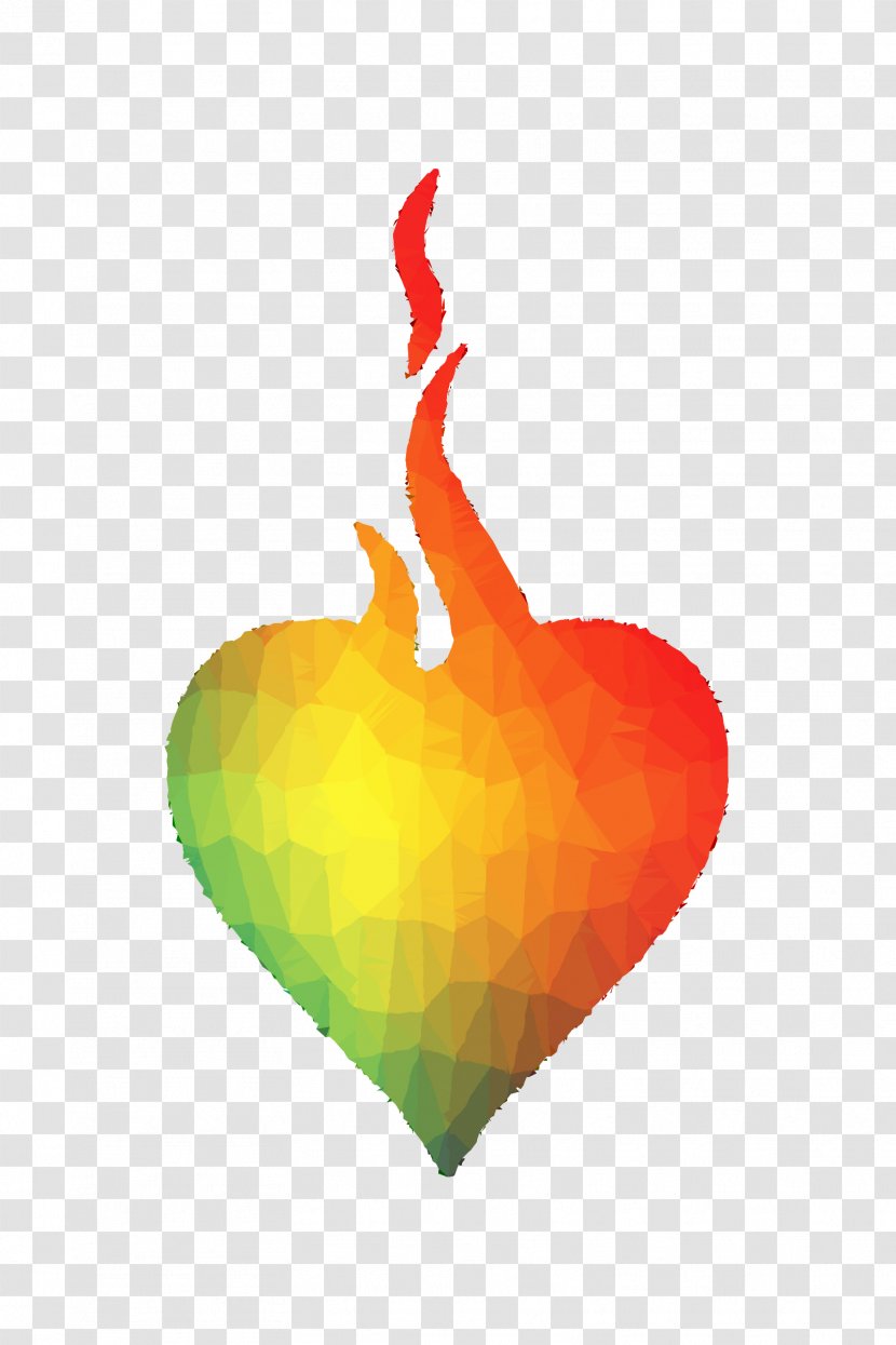 Desktop Wallpaper Heart Computer Fruit M-095 - Love Transparent PNG