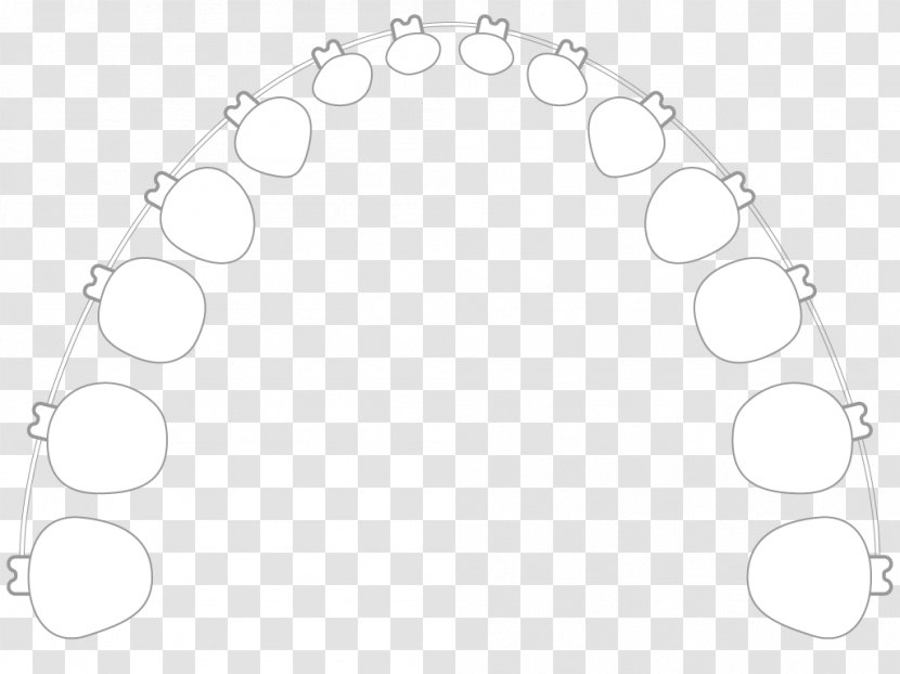 Car White Circle Angle - Oval Transparent PNG