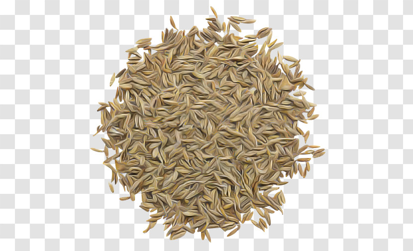 Plant Cumin Parsley Family Food Seed Transparent PNG