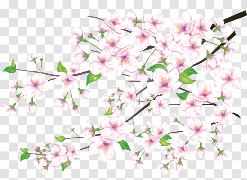 Shan Shui Bird-and-flower Painting Ink Wash Watercolor Creative Work - Plant Stem - Sakura Transparent PNG