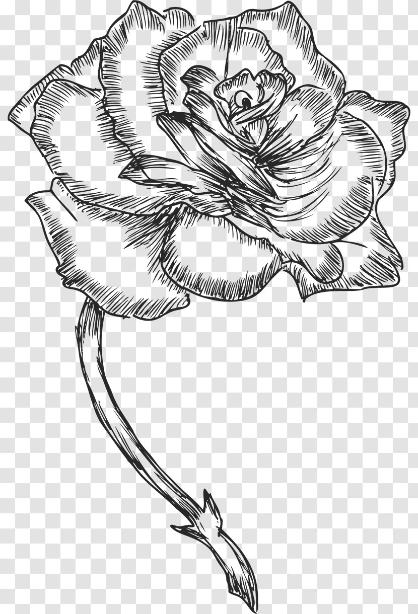 Floral Design Drawing Monochrome Painting Photography - Visual Arts Transparent PNG