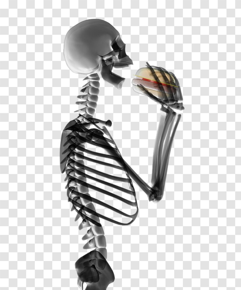 Hamburger Human Skeleton Eating Stock Photography - Product - HD Hamburgers Figures Transparent PNG