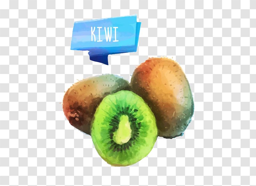 Juice Fruit Watercolor Painting - Kiwifruit - Kiwi Transparent PNG