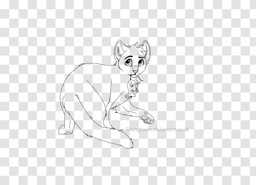 Whiskers Cat Lion Line Art Sketch - Flower - Couple WATERCOLOR Transparent PNG