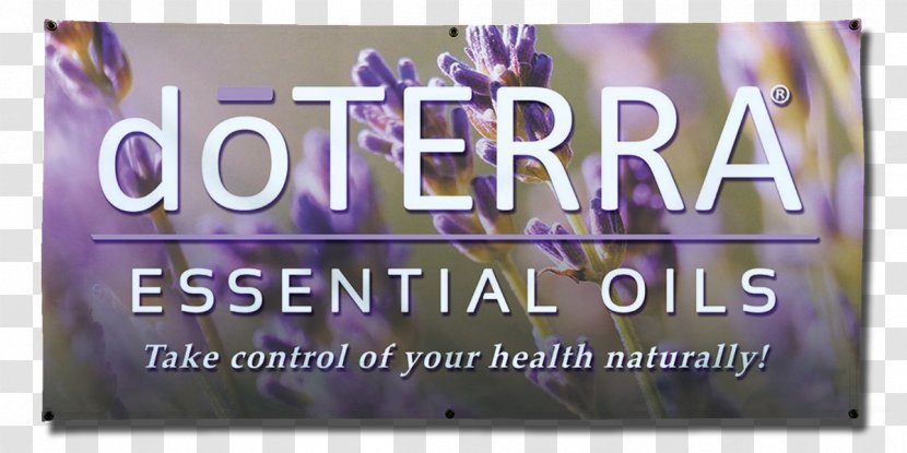 DoTerra Essential Oil Dietary Supplement Health, Fitness And Wellness - Young Living Transparent PNG