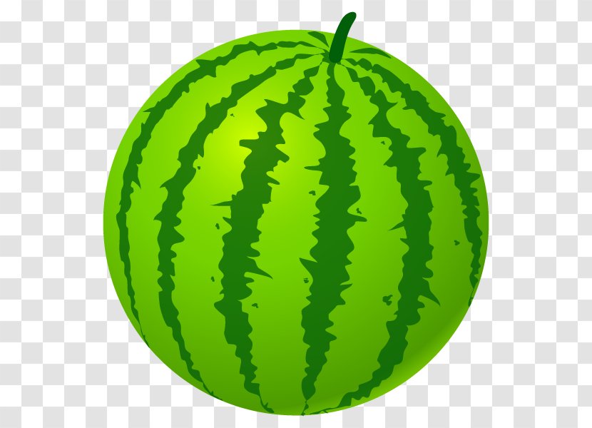 Watermelon Squash - Leaf Transparent PNG