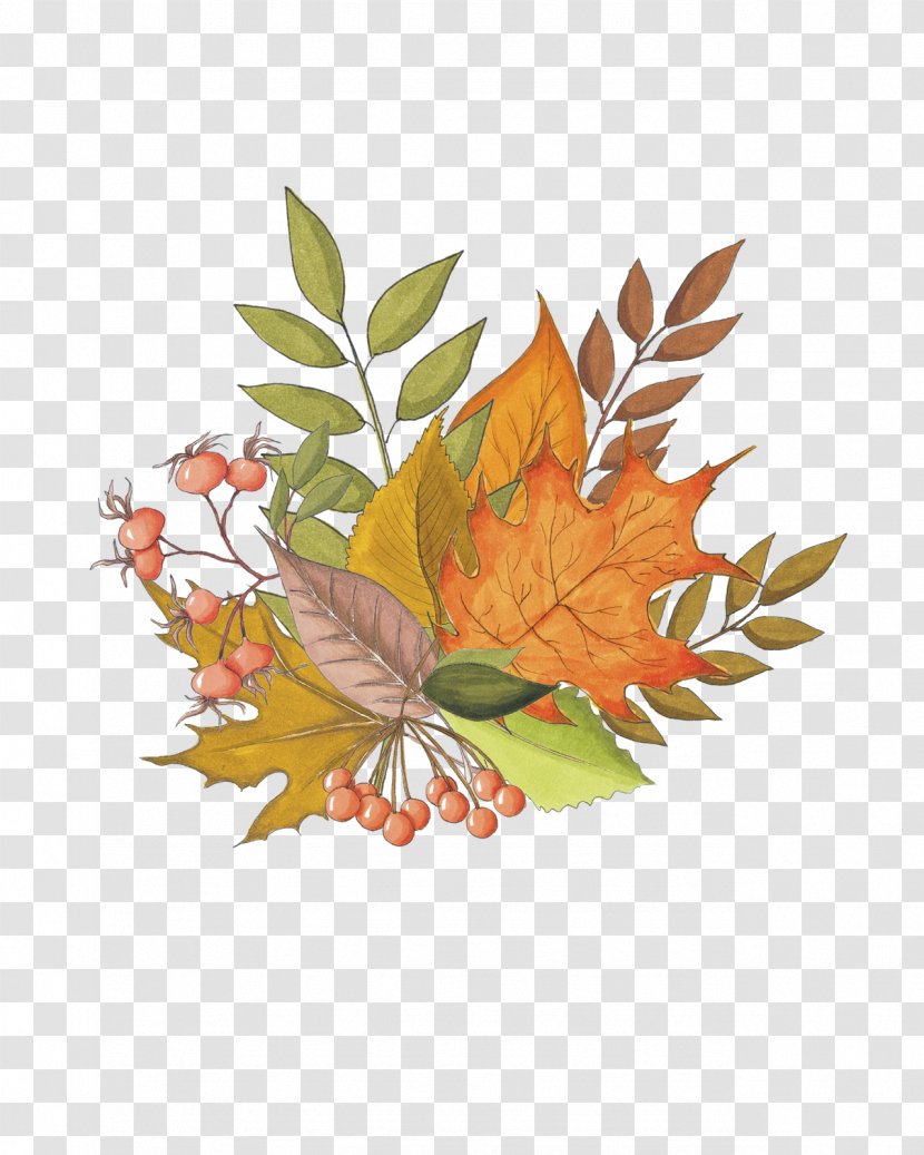 Maple Leaf Autumn Drawing - A Bunch Of Leaves Transparent PNG