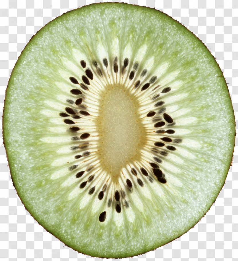 Kiwifruit - Kiwi Image, Free Fruit Pictures Download Transparent PNG